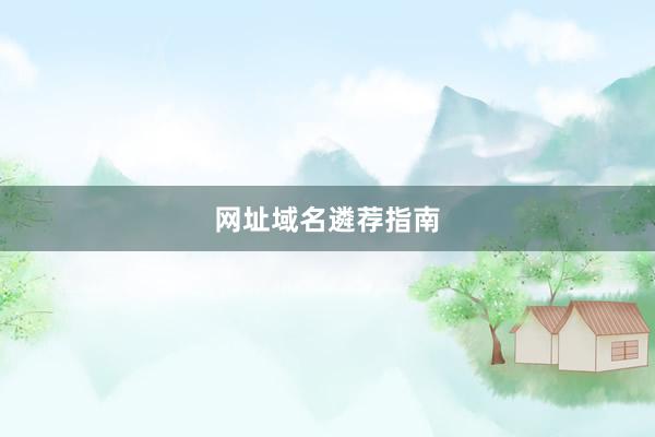 网址域名遴荐指南